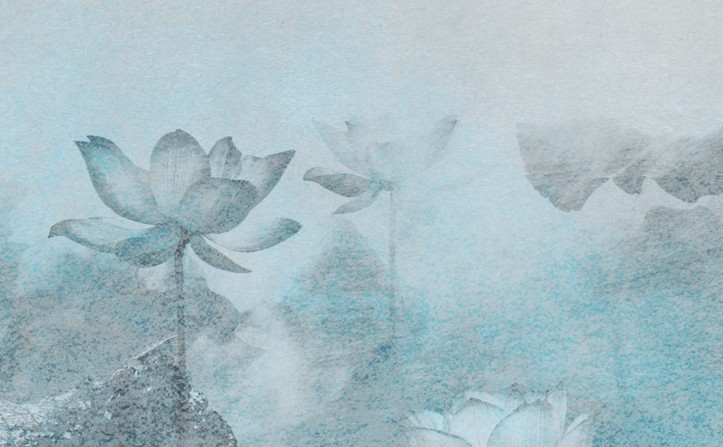 Tapeta Lilies New Collection - obrazek 3