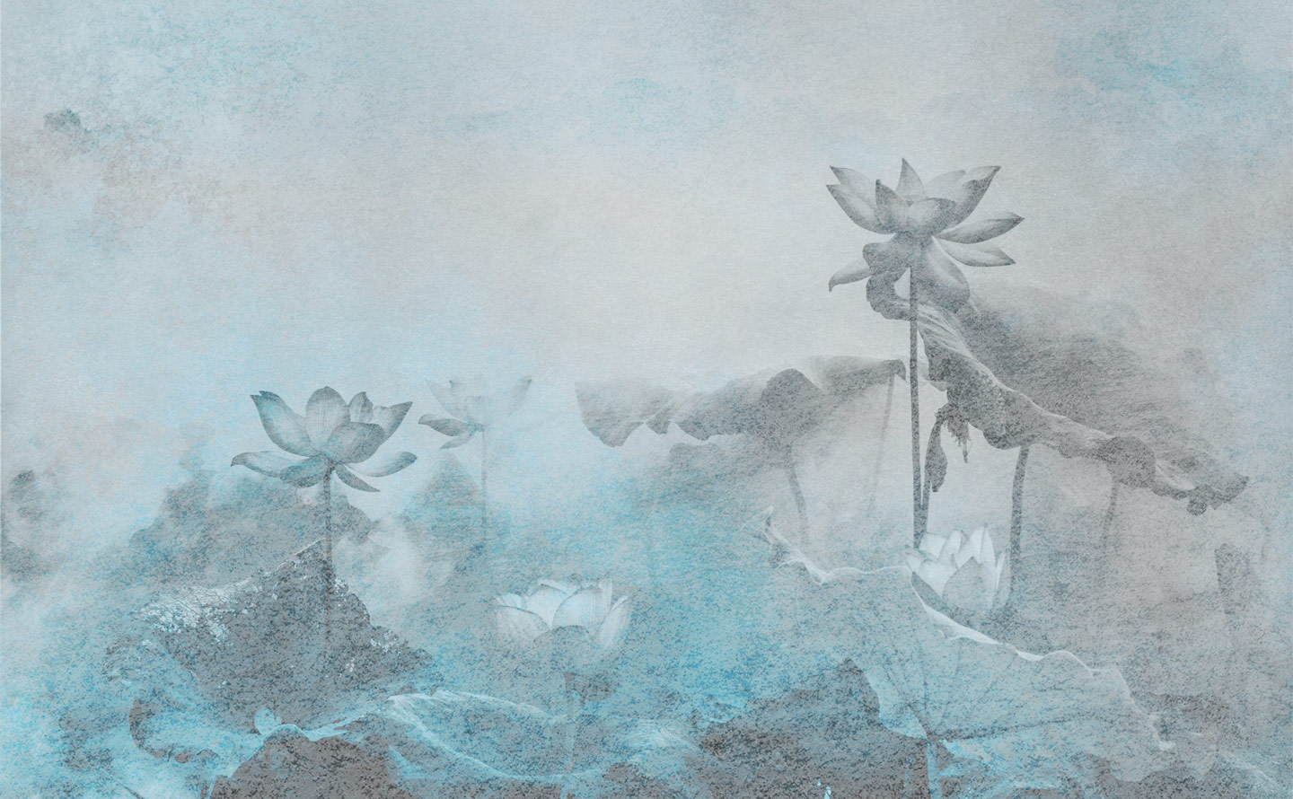 Tapeta Lilies New Collection - obrazek 2